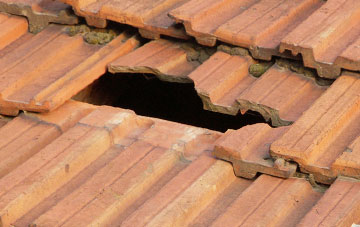 roof repair Lynwilg, Highland
